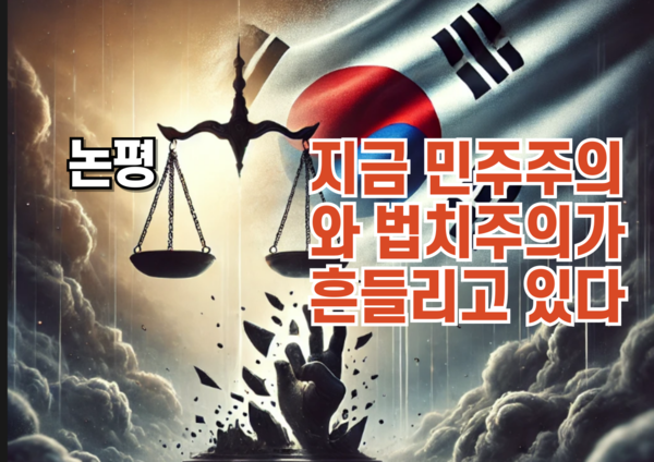 [논평] 자유민주주의가 제대로 작동하고 있나?